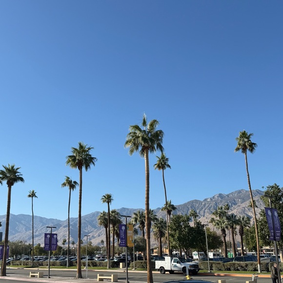 Meet your Posher, April - Picture 7 of 7